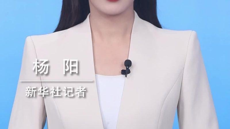 企业搜索运维监控系统：如何选择合适方案**